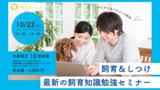 【セミナー予約開始】犬のしつけ＆飼育の最新知識セミナー2024年10月22日開催！