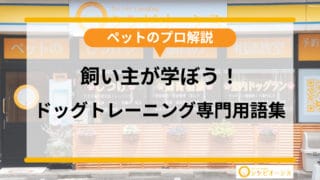 【ペットのプロ解説】飼い主が学ぼう！ドッグトレーニング専門用語集