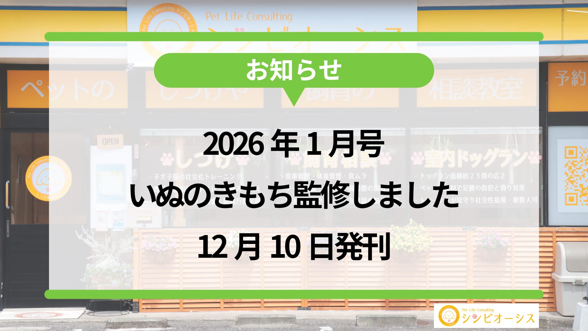 【お知らせ】いぬのきもち2026年1月号ベテラン版にて監修しました！12月10日発刊！