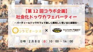 社会化ドッグカフェパーティー